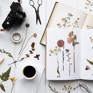 🎀Unlisted item for‎ live sale🎀 🥳